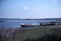 Abandoned boats on the shore in Cedar Key, Florida.