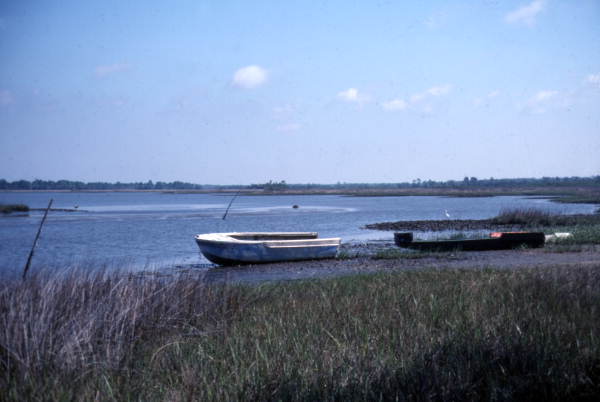 Abandoned boats on the shore in Cedar Key, Florida.