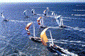 Bird's eye view of sailboat race in Pinellas County.