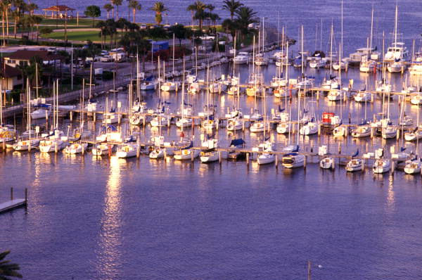 Bird's eye view of marina in St. Petersburg.