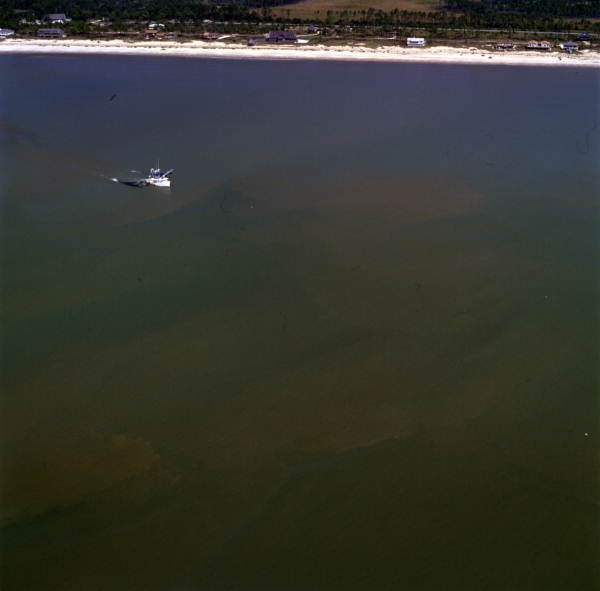 Aerial view showing a shrimp boat near Mexico Beach, Florida.