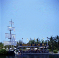 Audience watching animal trainers working with dolphins at the Theater of the Sea marine mammal park in Islamorada, Florida.