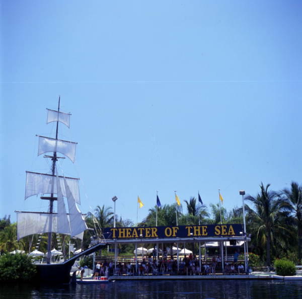 Audience watching animal trainers working with dolphins at the Theater of the Sea marine mammal park in Islamorada, Florida.