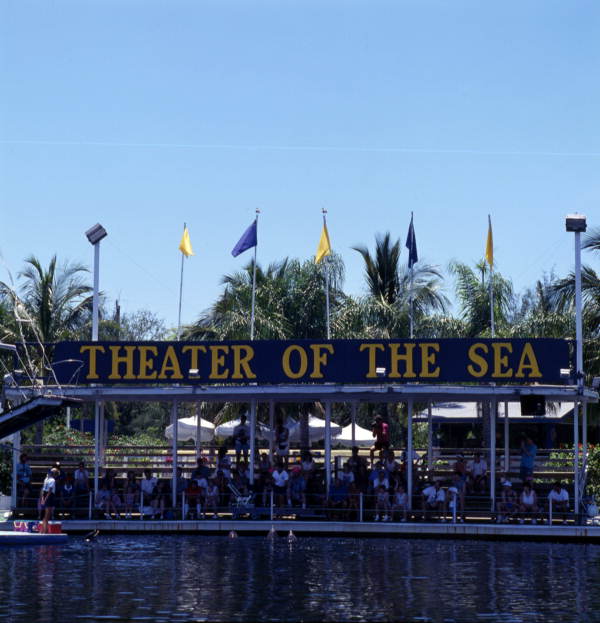 Audience watching animal trainer working with dolphins at the Theater of the Sea marine mammal park in Islamorada, Florida.