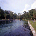 View showing visitors tubing in Kelly Park at Rock Springs in Apopka, Florida.