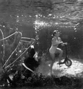 Mary Windsor on scooter from "Santa" Newt Perry ten feet underwater at Weeki Wachee Springs amusement park.