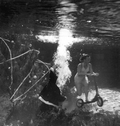 Mermaid Mary Windsor on scooter from "Santa" Newt Perry ten feet underwater at Weeki Wachee Springs amusement park - Weeki Wachee, Florida.