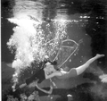 Santa (Newt Perry) gets a hug from grateful mermaid who has received a brand new pair of paddle fins for Christmas - Weeki Wachee, Florida.