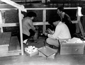 June Manson hands diver Newt Perry water-filled ornaments to decorate underwater Christmas tree..