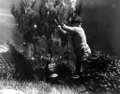 Diver Newt Perry decorating underwater Christmas tree at Weeki Wachee Springs amusement park.