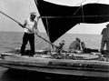 Captain Laurence White tonging oysters from aboard the "Mary Ann" - Apalachicola, Florida