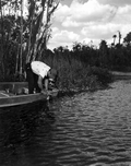 Al Zaebst fishing during a fishing contest - Weeki Wachee Spring, Florida.