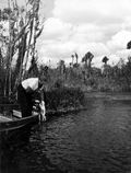 Al Zaebst fishing during a fishing contest - Weeki Wachee Spring, Florida.