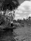 Al Zaebst fishing during a fishing contest - Weeki Wachee Spring, Florida.