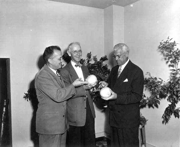 Al Lang, president of the Florida State League in 1924, is flanked by Pete Norton on his left and Will Harridge on his right. The trio were attending the governor's annual baseball dinner (March 1951).