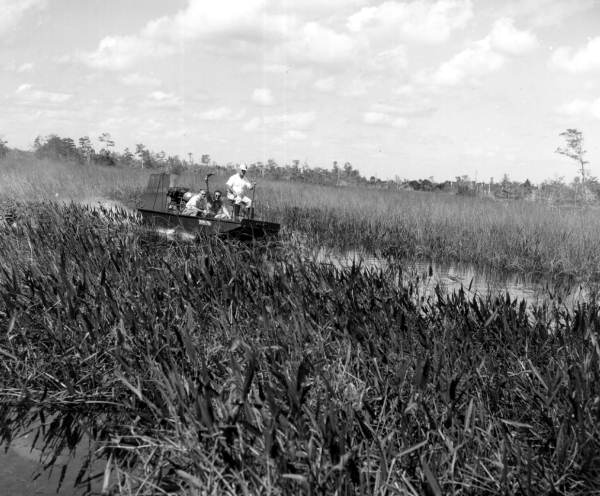 Airboat tour during an Inter-American conference - Palm Beach, Florida