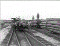 African American workers and unloaded logs in the company's lumberyard - Live Oak, Florida