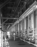 Employees at work in a plant of Gulf Naval Stores Company - Nocatee, Florida
