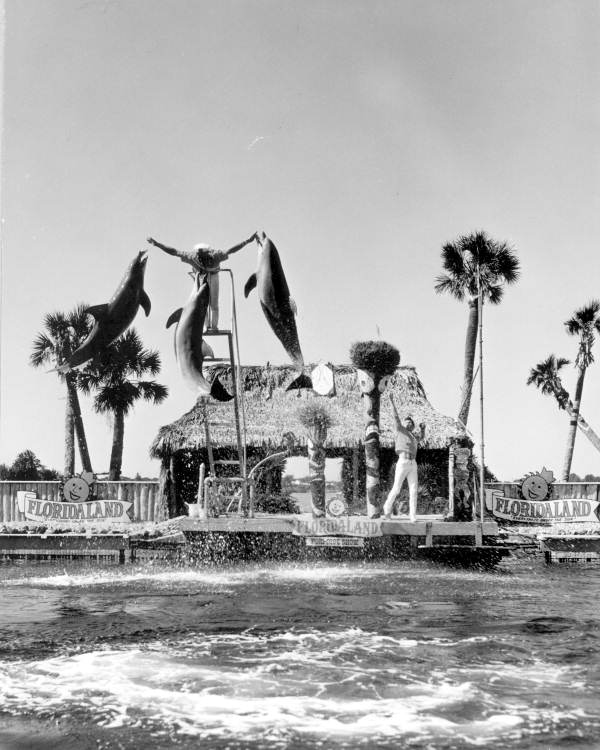 Performing dolphins (or porpises) at Floridaland (1967).