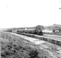 A train passing by the Gold Coast Railroad Museum - Fort Lauderdale, Florida.