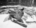Flipper, the dolphin star, rests next to aquamaid Marcy Byron at the Miami Seaquarium.