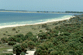 Bird's eye view looking over part of the Caladesi Island State Park - Dunedin, Florida