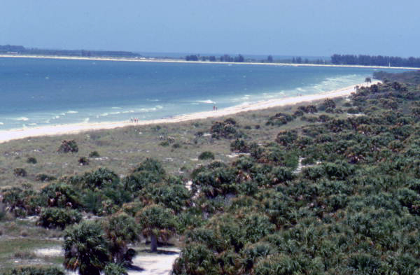 Bird's eye view looking over part of the Caladesi Island State Park - Dunedin, Florida