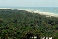 Bird's eye view overlooking part of the Caladesi Island State Park - Dunedin, Florida
