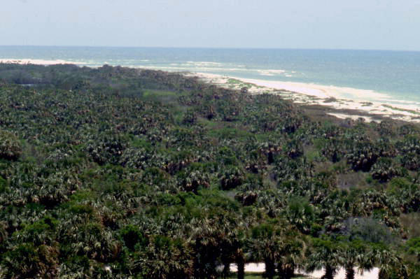 Bird's eye view overlooking part of the Caladesi Island State Park - Dunedin, Florida