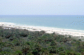 Bird's eye view overlooking a part of the Caladesi Island State Park - Dunedin, Florida