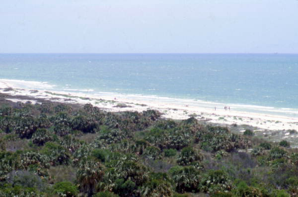 Bird's eye view overlooking a part of the Caladesi Island State Park - Dunedin, Florida
