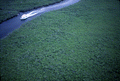 Aerial view showing a boat on a river in the John Pennekamp Coral Reef State Park - Key Largo, Florida.