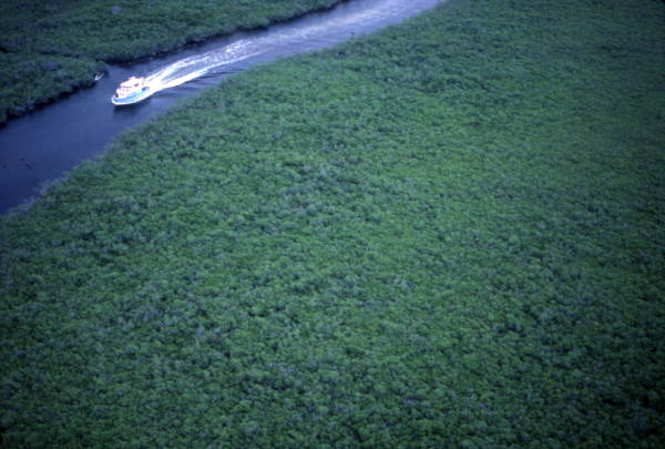 Aerial view showing a boat on a river in the John Pennekamp Coral Reef State Park - Key Largo, Florida.