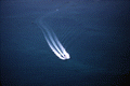 Aerial view of boat at the John Pennekamp Coral Reef State Park - Key Largo, Florida.