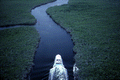Aerial view of a boat on a river in the John Pennekamp Coral Reef State Park - Key Largo, Florida.