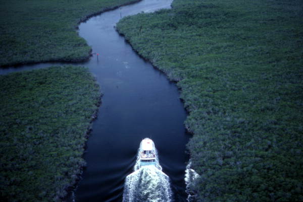 Aerial view of a boat on a river in the John Pennekamp Coral Reef State Park - Key Largo, Florida.