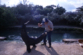 Animal trainer with seal at the "Theater of the Sea" marine mammal park in Islamorada, Florida.