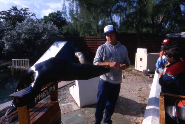 Animal trainer with performing seal at the "Theater of the Sea" marine mammal park in Islamorada, Florida.