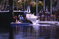 Animal trainer with dolphin on platform during a show at the "Theater of the Sea" marine mammal park in Islamorada, Florida.
