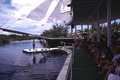 Animal trainers on platform near dolphins during a show at the "Theater of the Sea" marine mammal park in Islamorada, Florida.
