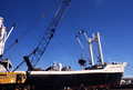 Aegis Bravery loading or unloading scrap metal at Port Everglades, Florida.