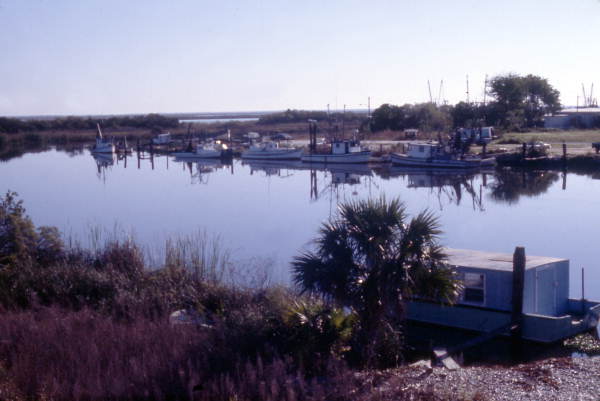 View showing oyster boats at Apalachicola, Florida.