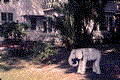 View showing elephant sculpture at the back of the historic home of Mary McLeod Bethune in Daytona Beach, Florida.