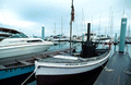 "African Queen" steam launch tour boat docked behind the "Galleon Resort" - Key West, Florida.
