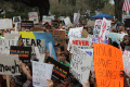 Close-up view showing student demonstrators with their signs at the Never Again Rally in Tallahassee.