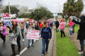 2017 Women's March on Wahnish Way in Tallahassee.