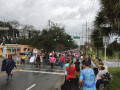 2017 Women's March on Wahnish Way crossing Osceola St. in Tallahassee.