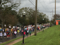 2017 Women's March on Wahnish Way in Tallahassee.