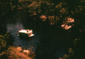 "Belle of Suwannee" on the Suwannee River at the Stephen Foster Folk Culture Center State Park in White Springs.