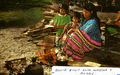 Seminole cooking over open wood fire in Florida Everglades.